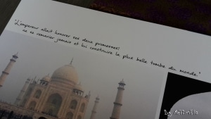 Agra_Taj Mahal 2